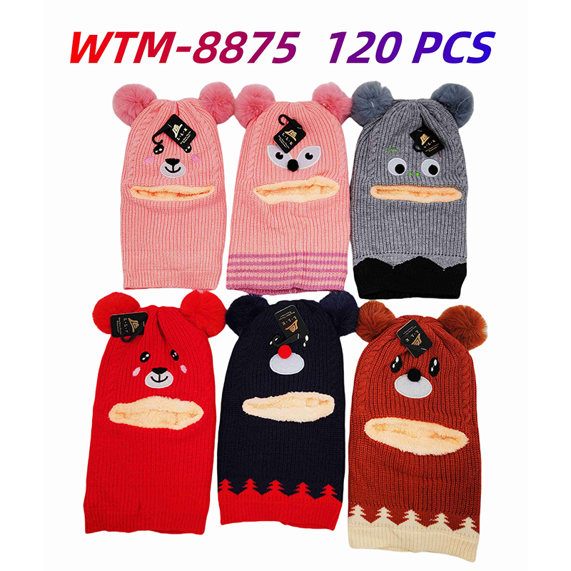 WTM-8875 CS120